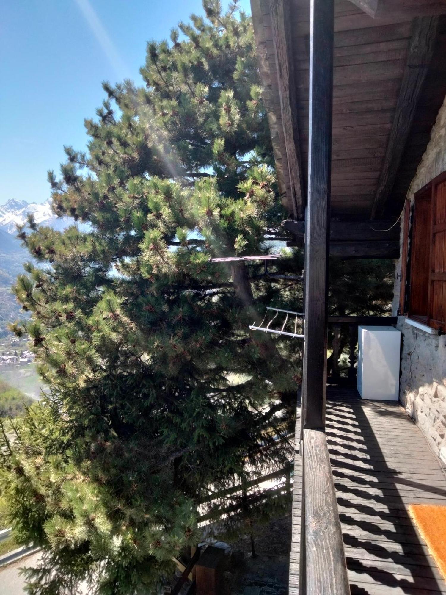Grand Rive Bed & Breakfast Saint-Pierre Exterior foto